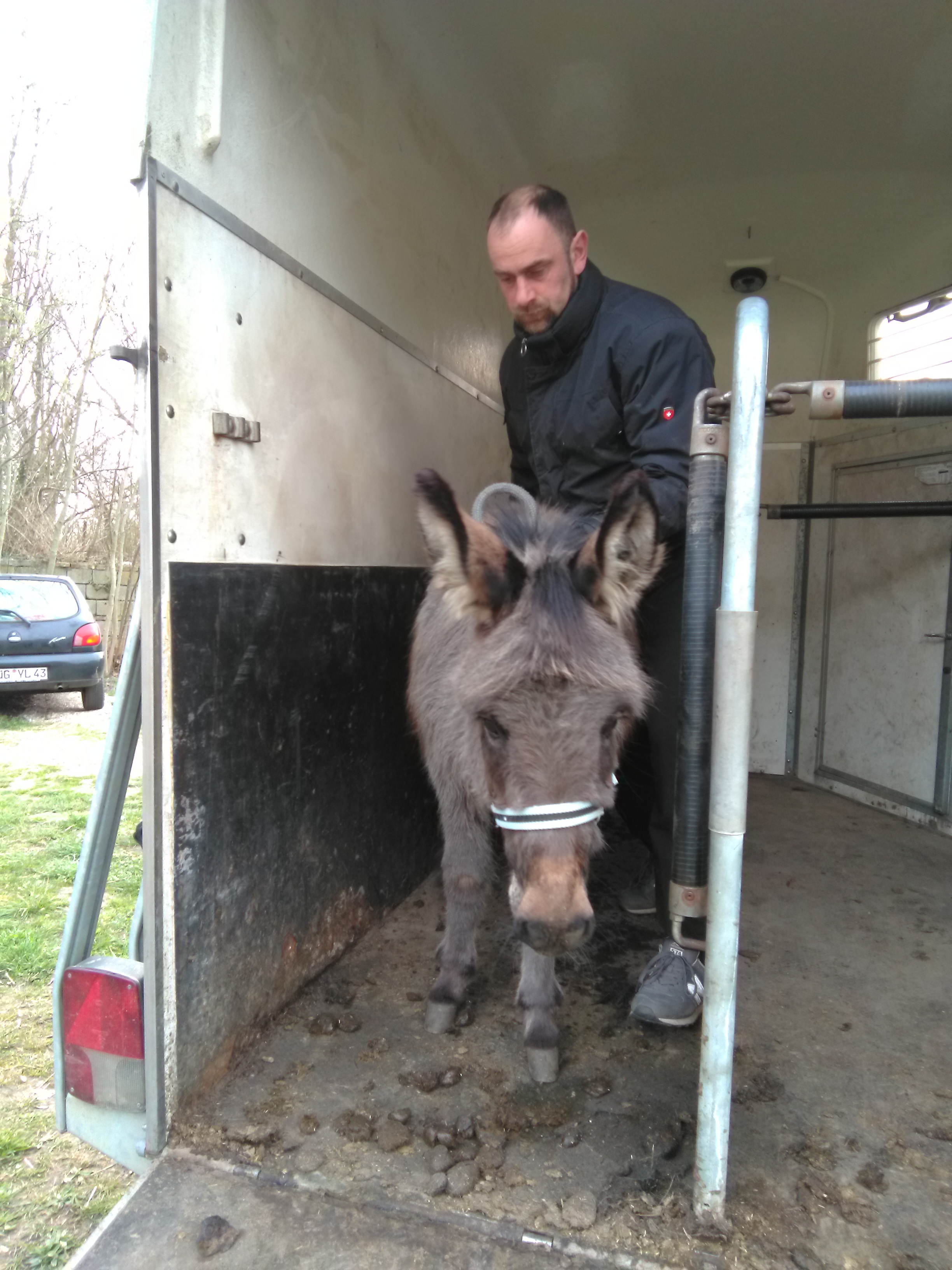 Ankunft in Brandshagen